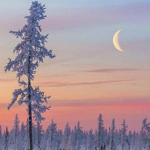 裸男男同大学生xnxx
